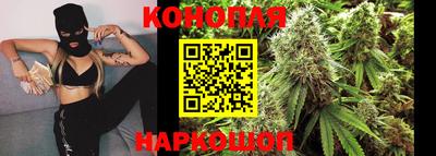 тгк Шахты