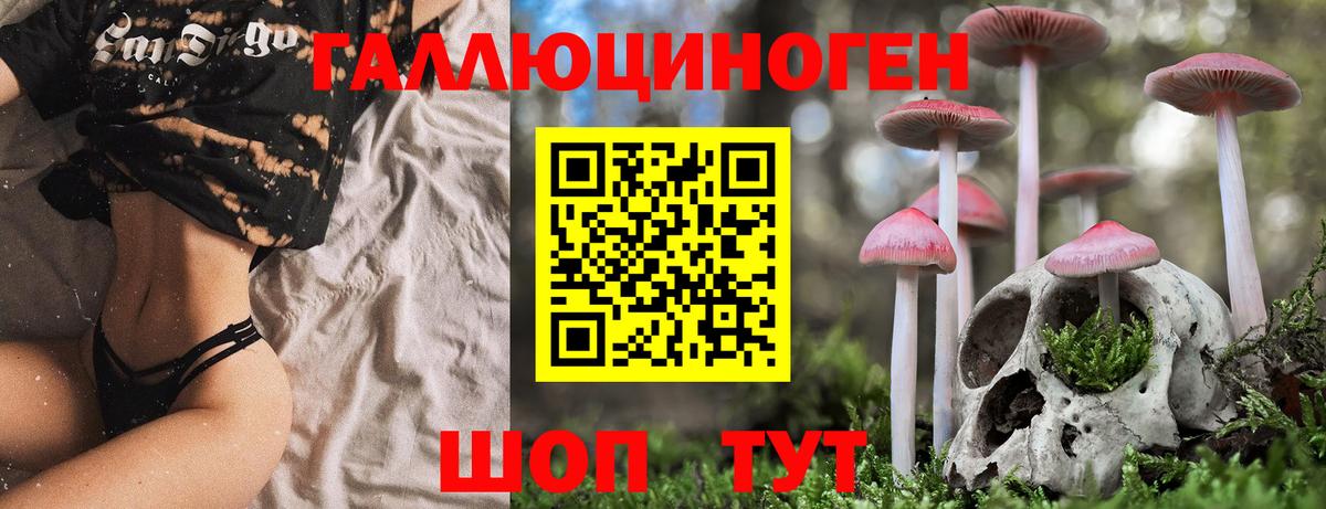 Псилоцибиновые грибы мицелий  Псилоцибиновые грибы Psilocybe  Вход с VPN  Кулебаки 